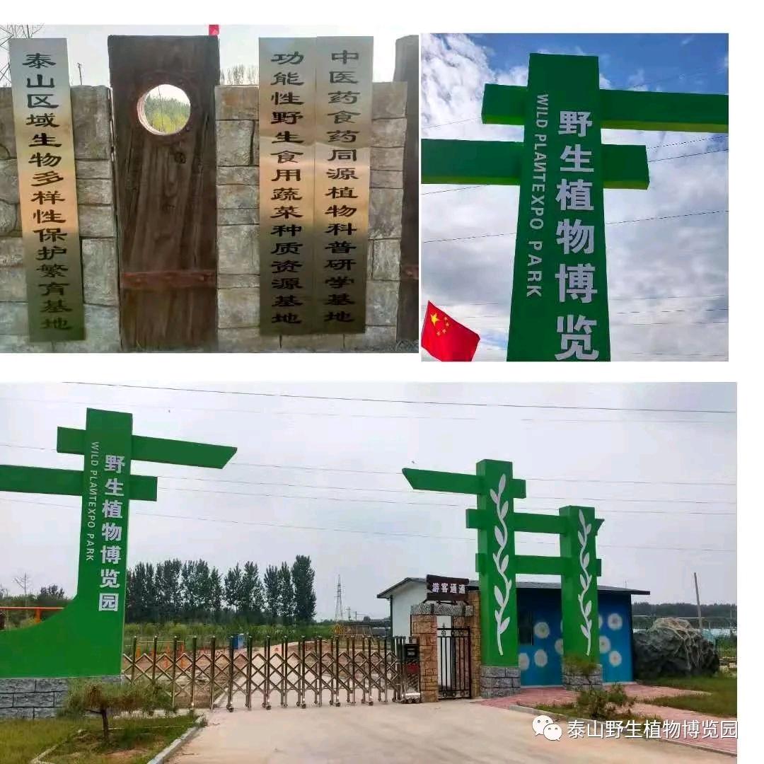 野生植物博览园(野菜种子种苗橱窗自助拍)的头像