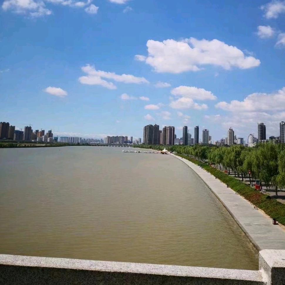 沉着