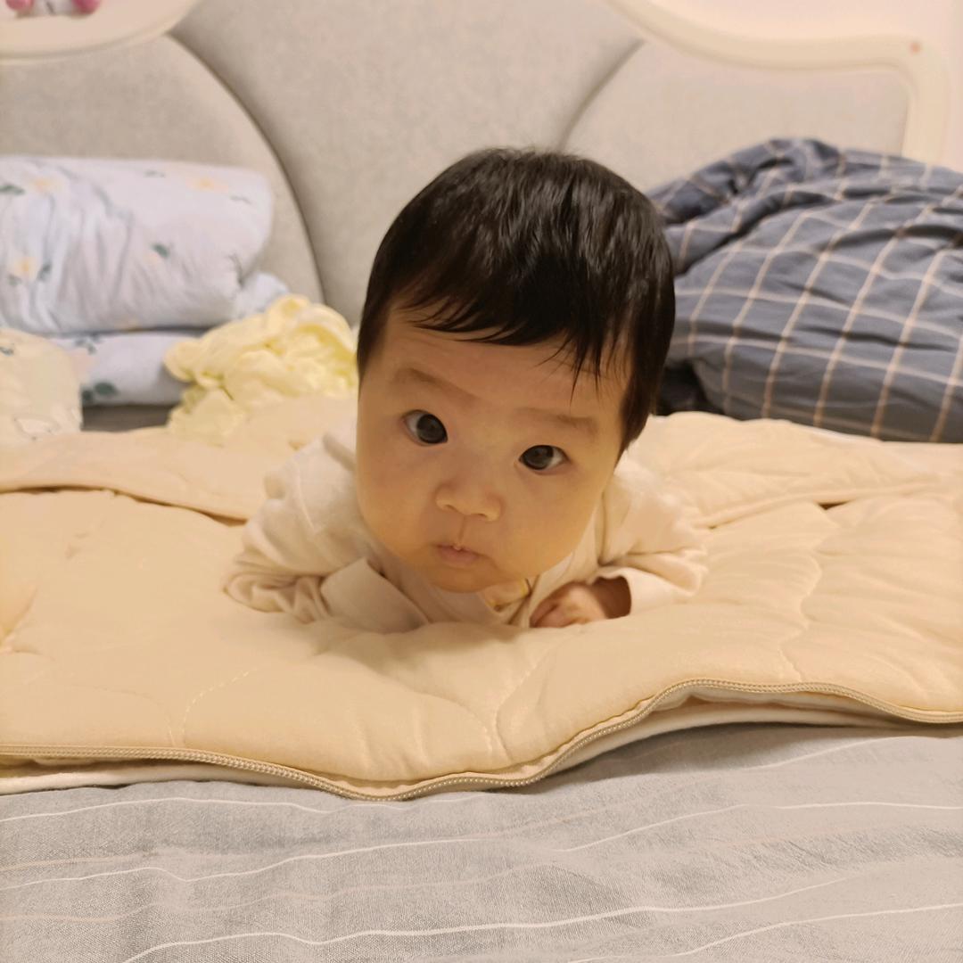 奔跑的尘埃