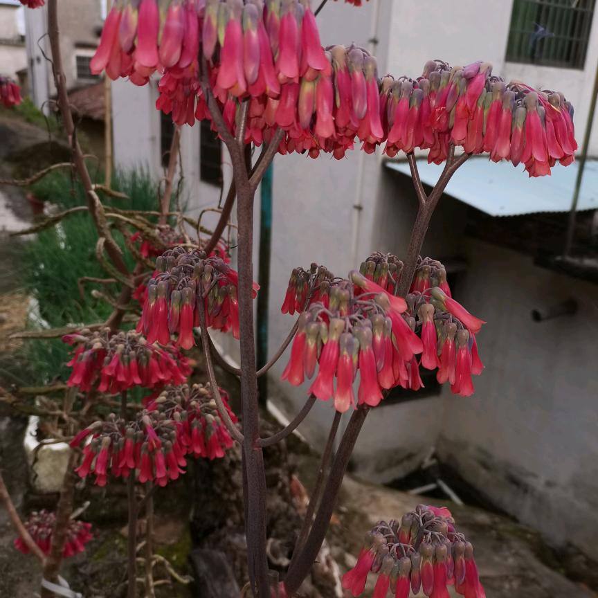 小杨yf