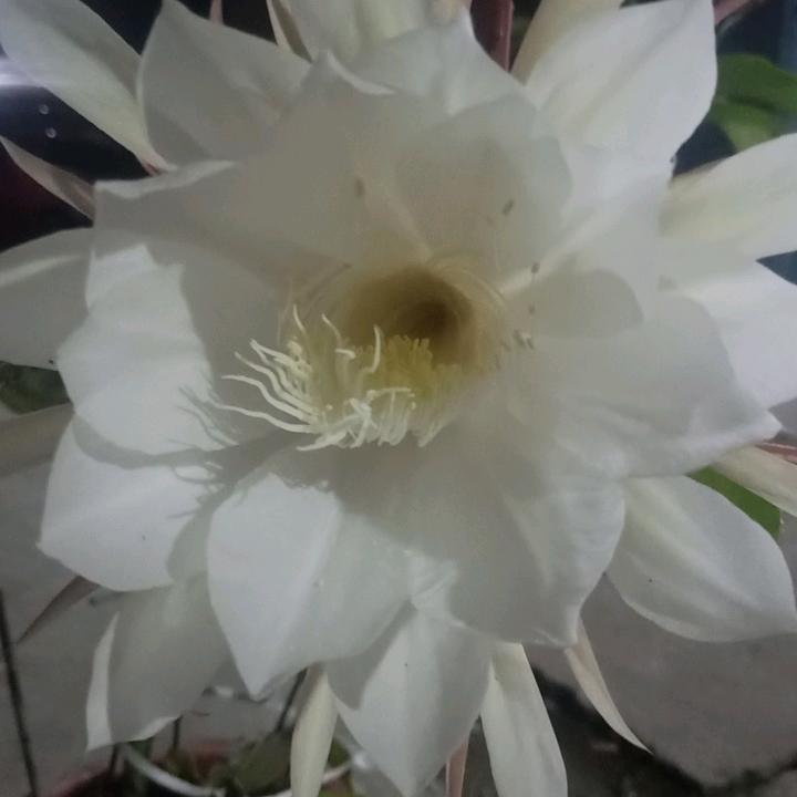 临沂优亚建材有限公司