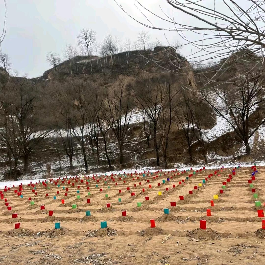 行者无疆🇨🇳