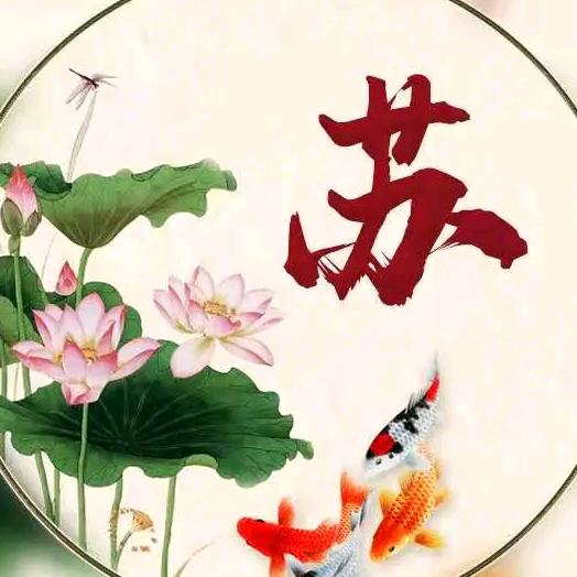 不吃魚的猫