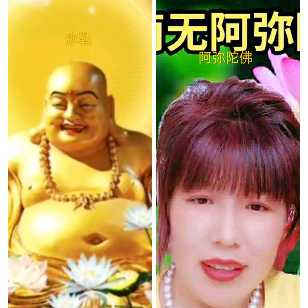 鸿运宇宙莲花开阿弥陀佛✨