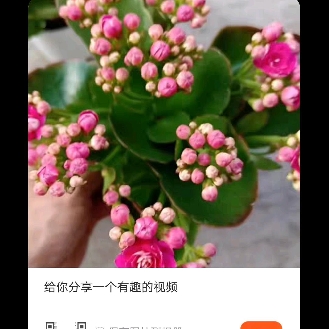 秀华