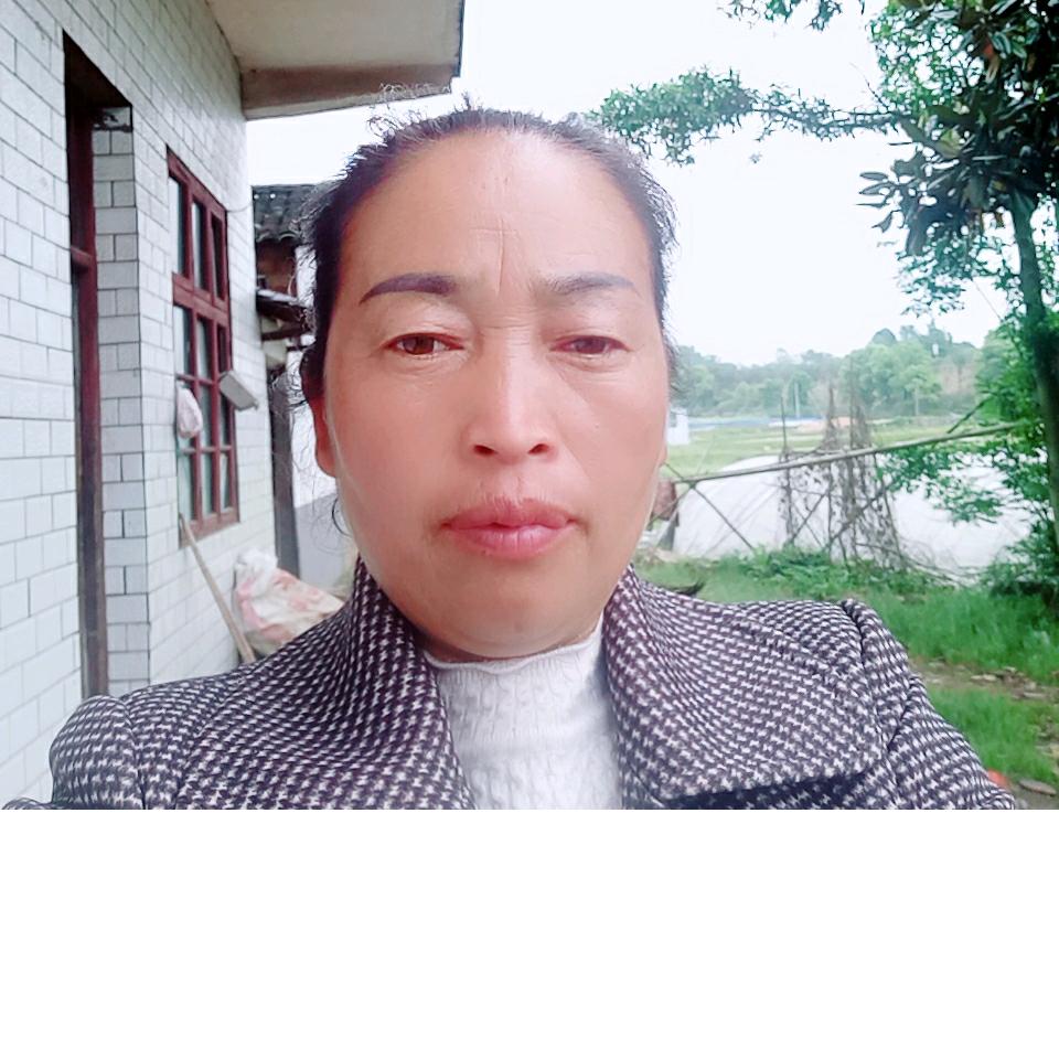 四  姐