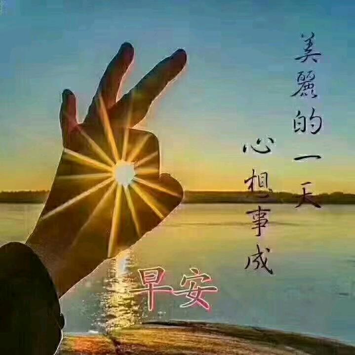 开心仔宝宝