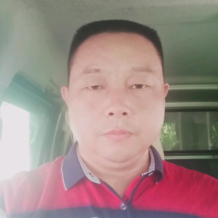 森林的狼