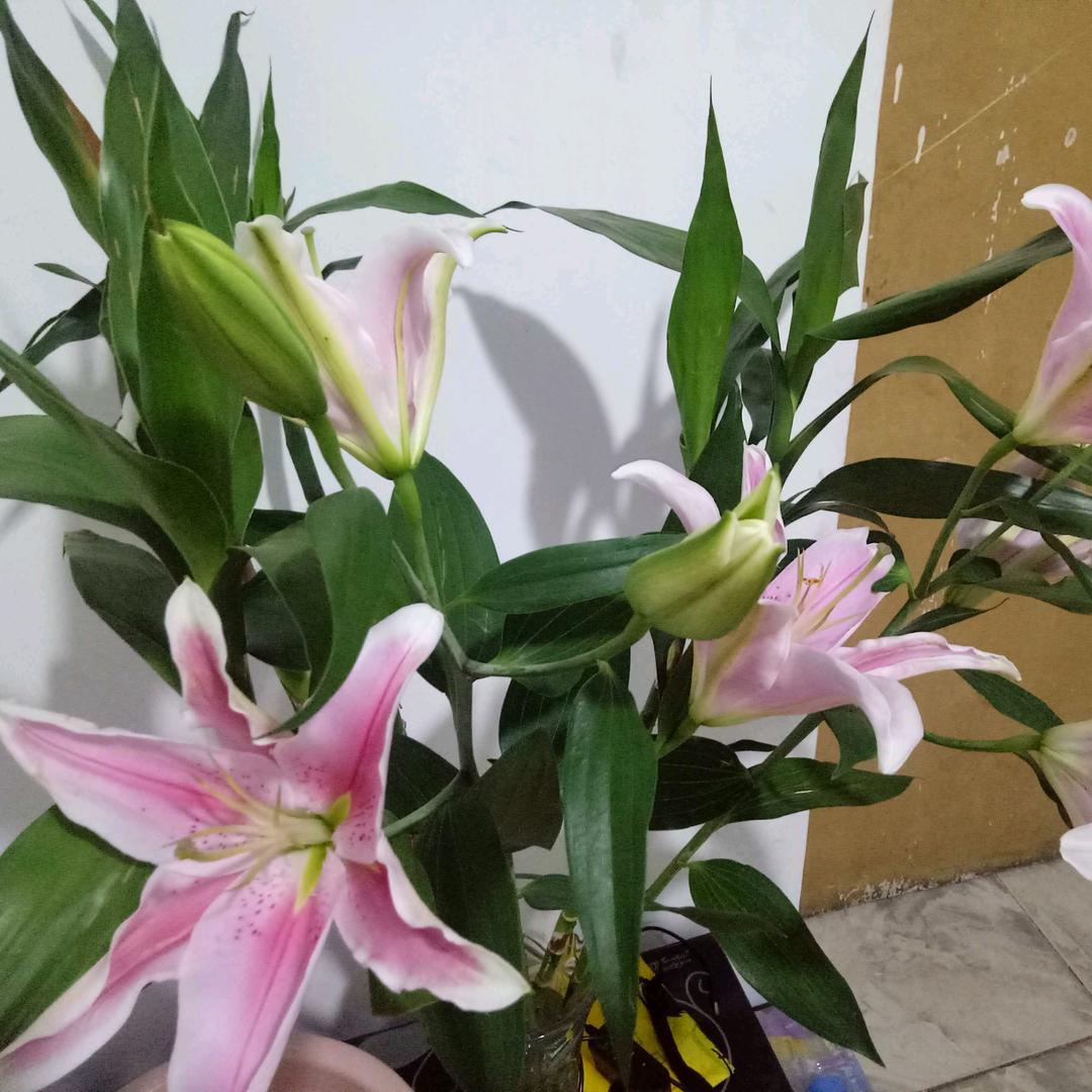 缘分