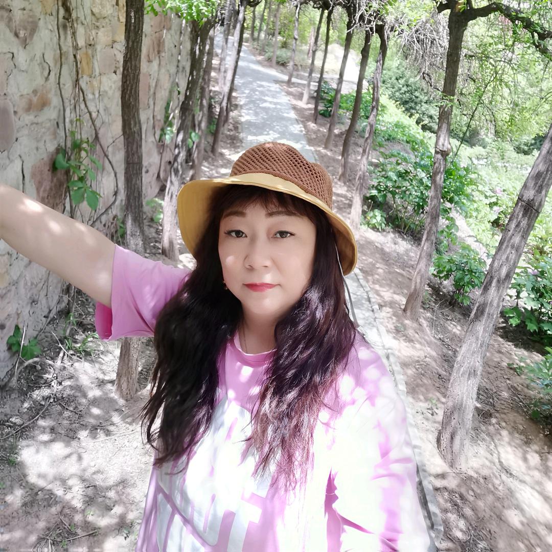 再见如陌