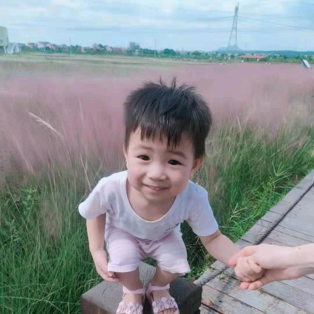 晴晴宝
