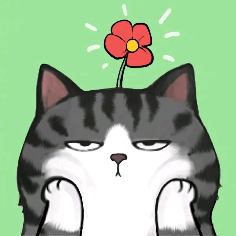 爱运动的小菜趴