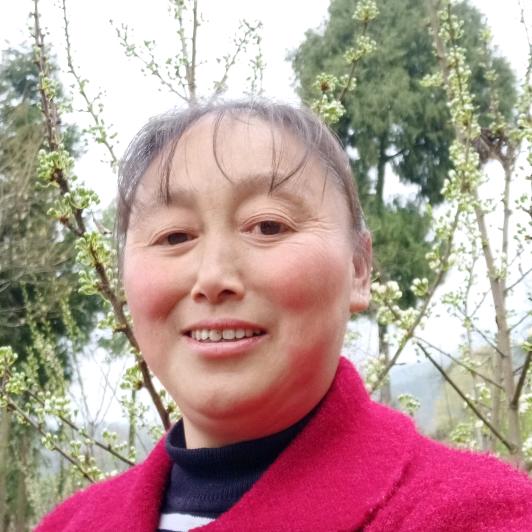 梅怡萱果