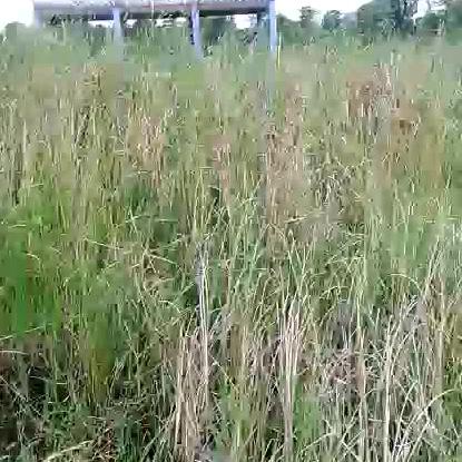🌻🌞一切随缘