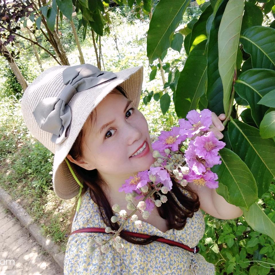 一网情深