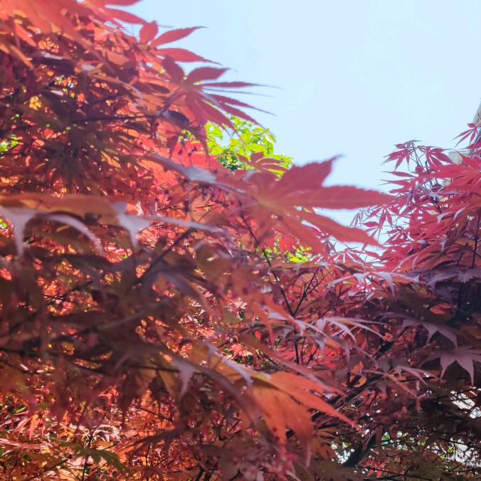 暮见纺织