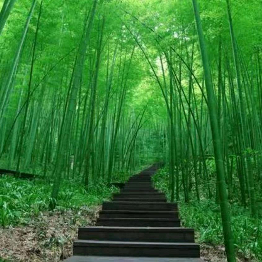 福德源💯（海鲜）总店