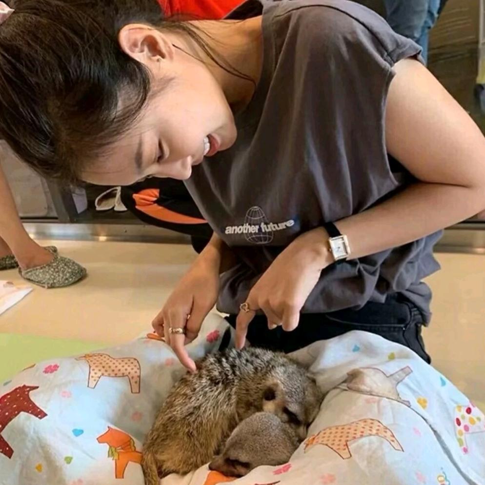 不吃渔.🐟