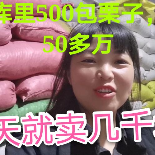 小亚炒货遂平县总店