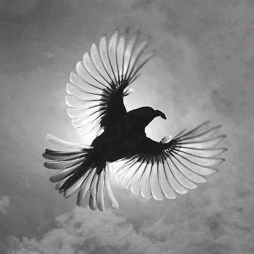 醉