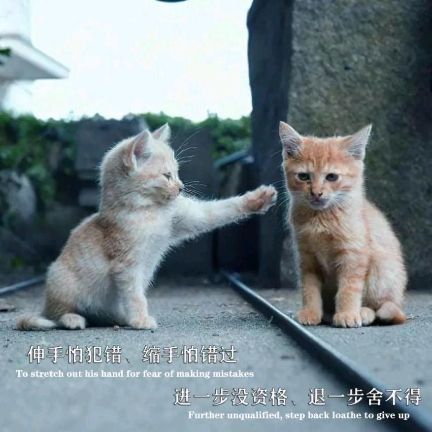 🌈奔雷手文泰来