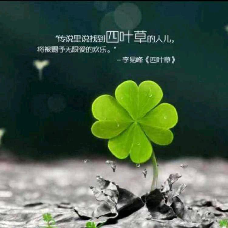 臻悦优选