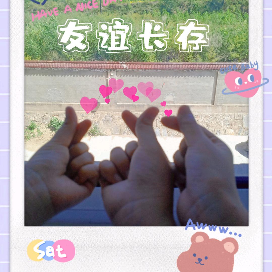 凤123456