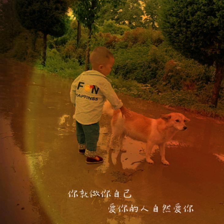 支凹赵