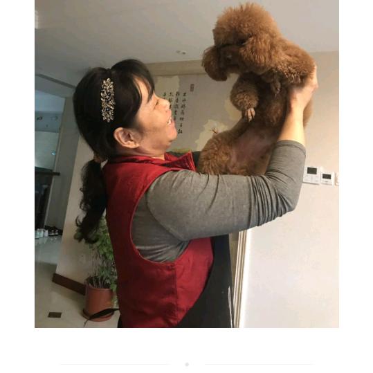 希望开心每一天💑