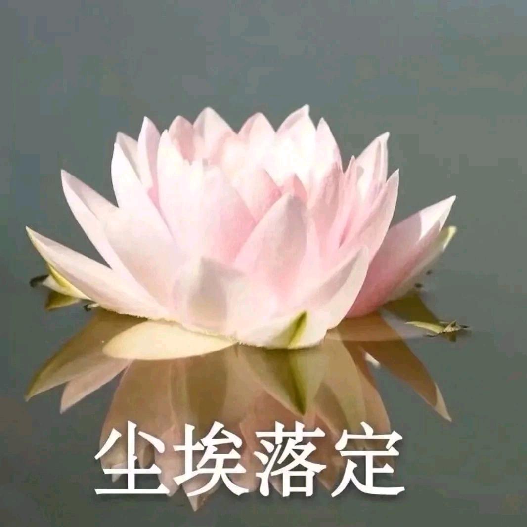 龍←_←