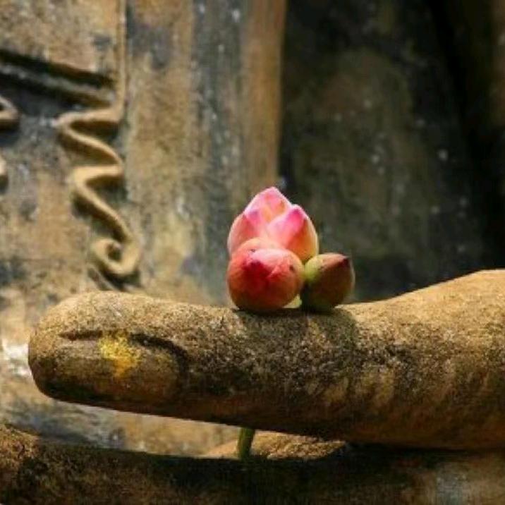 悦融琥珀餐厅