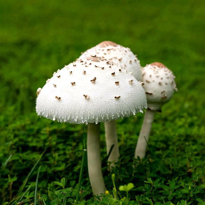 我想一生有你