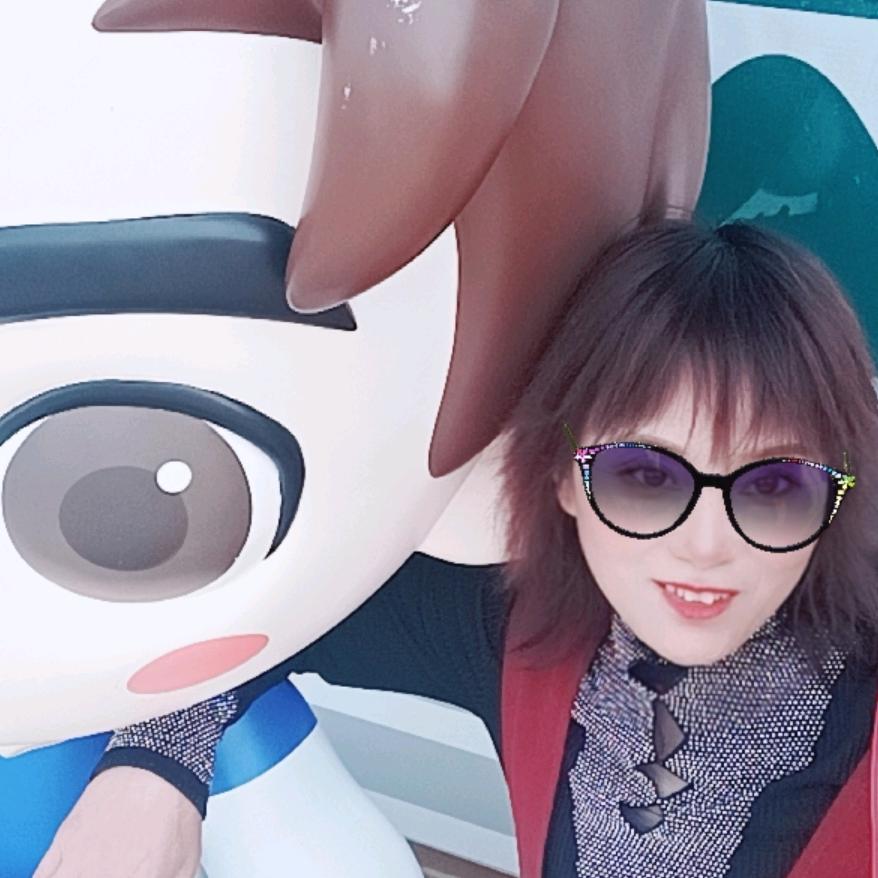 梦想成真