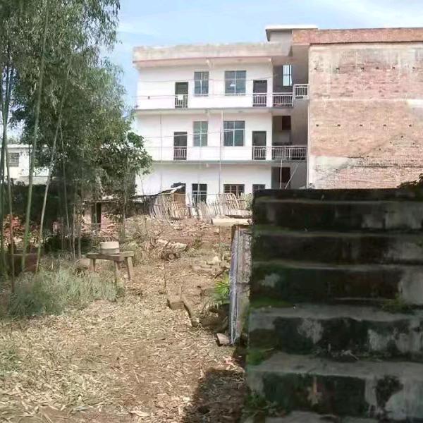 拥抱阳光