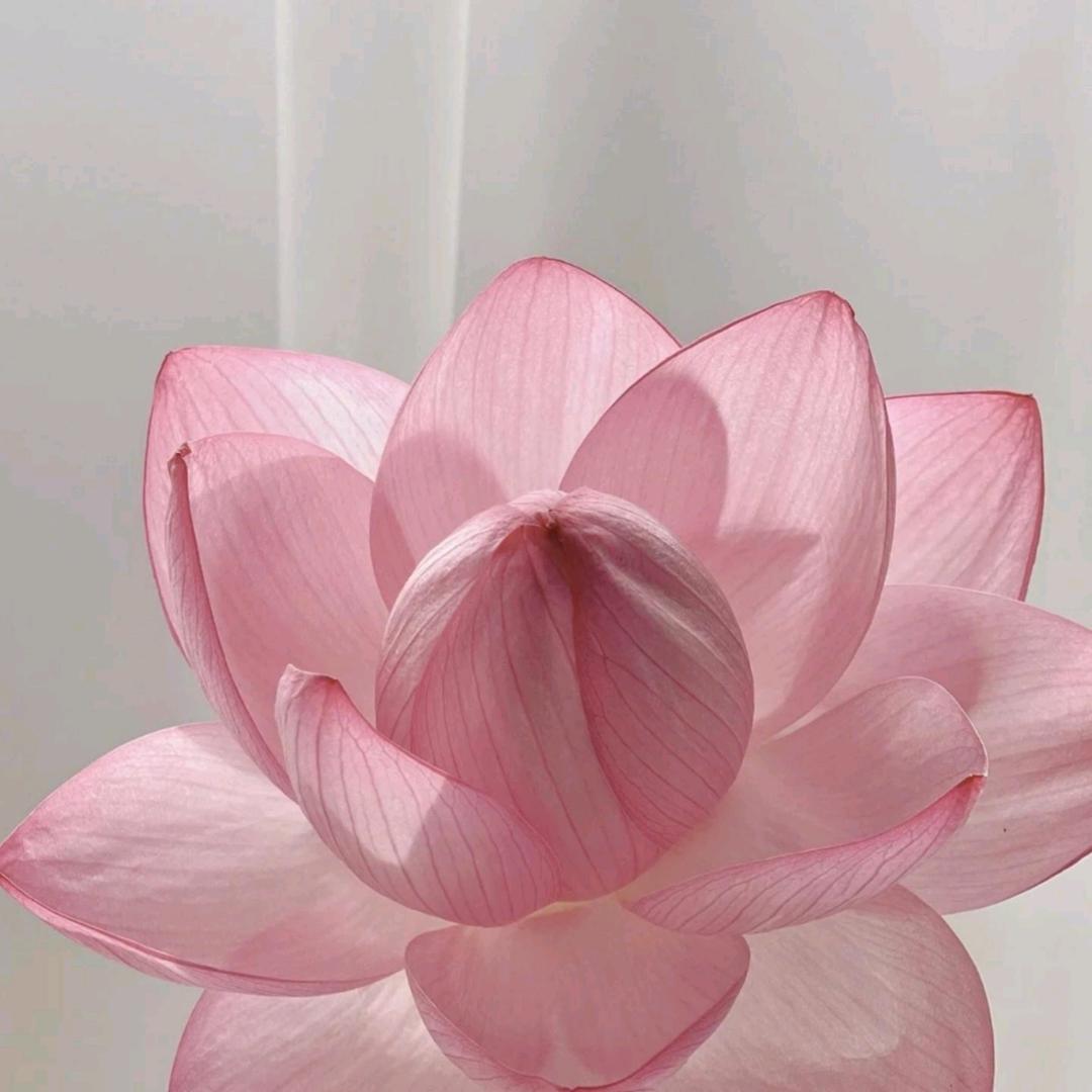 姣💋💋💋