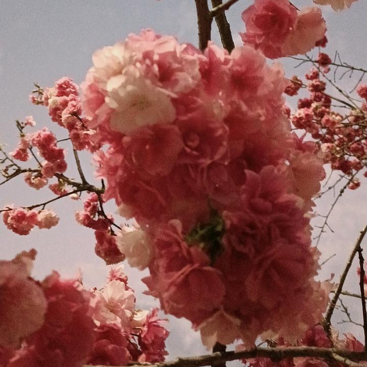 以后的以后