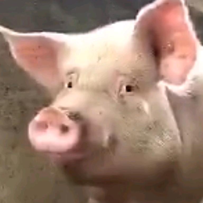 昱圻呀