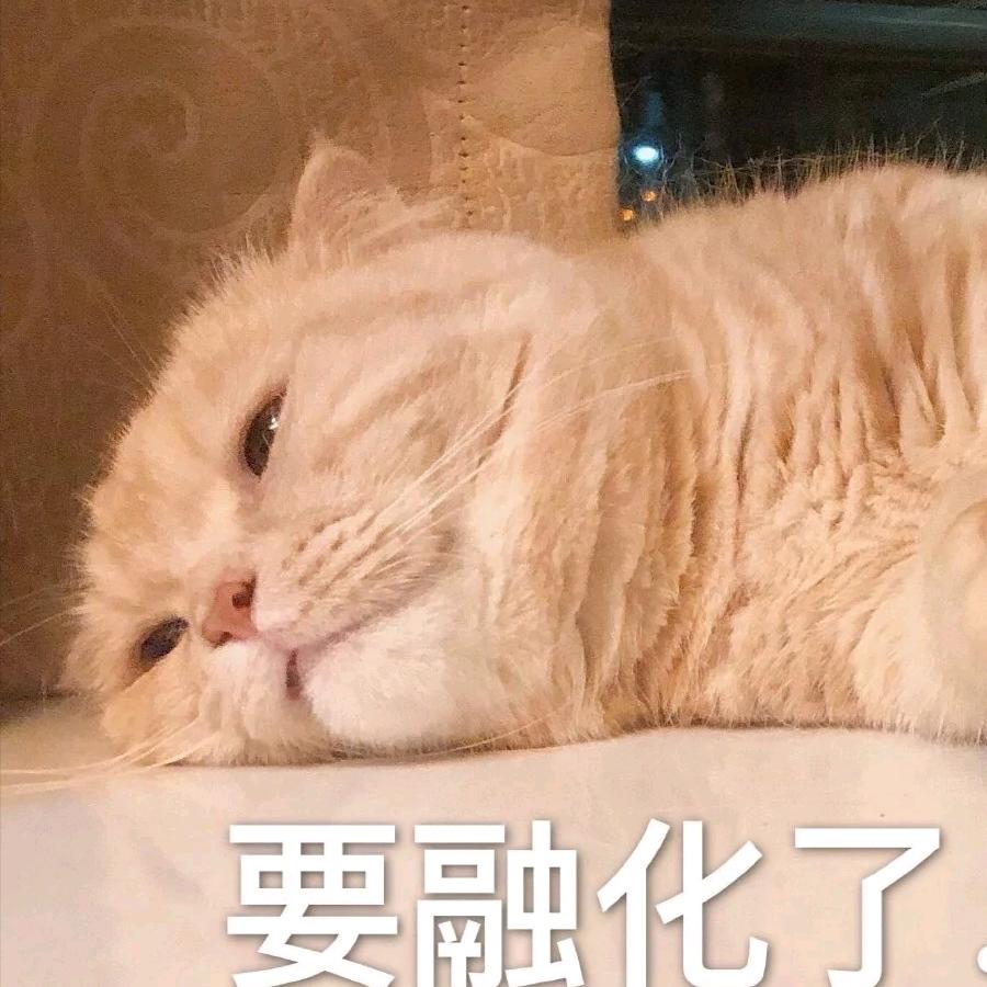 杨宣森啊头像