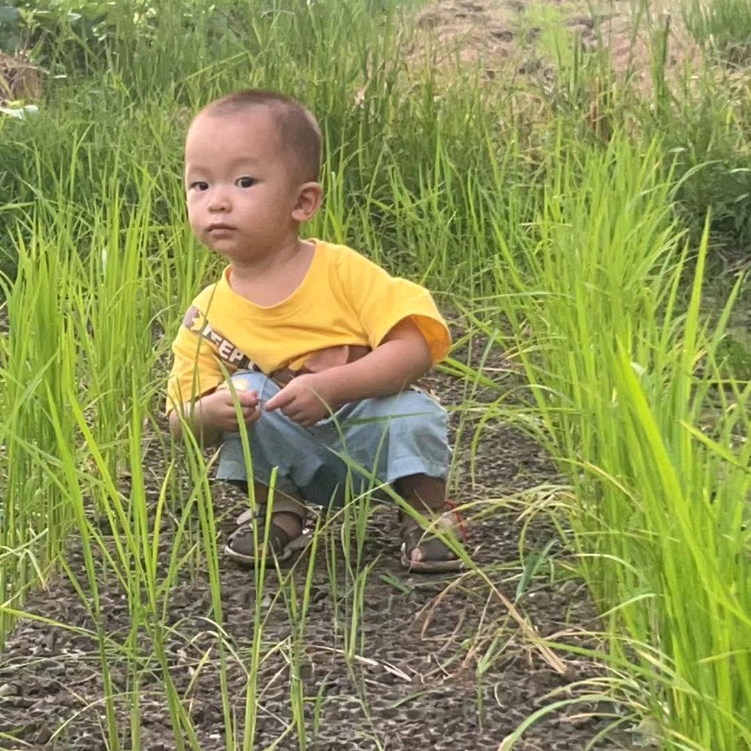 小韦