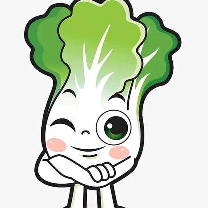 骑单车上高速