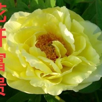 幸福快乐