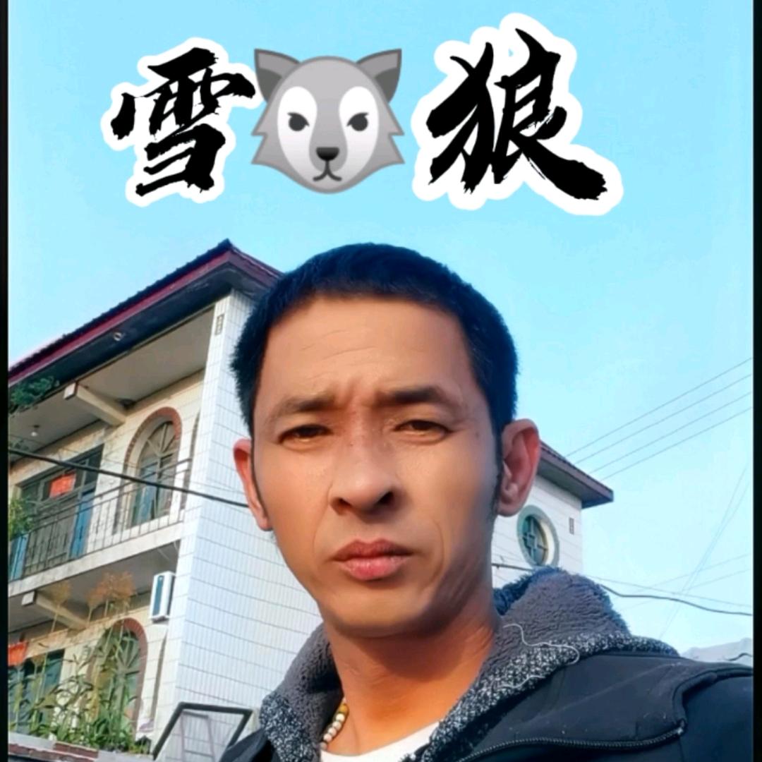 use雪狼传奇r612778453353