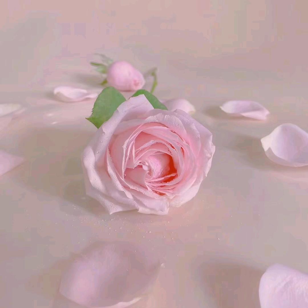 蕾蕾🌺