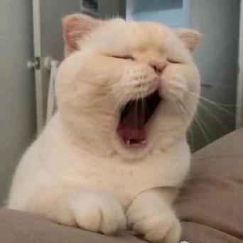 爱财爱ԅ(¯ㅂ¯ԅ)