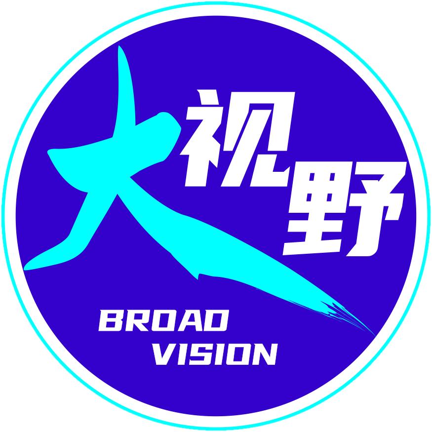 大视野