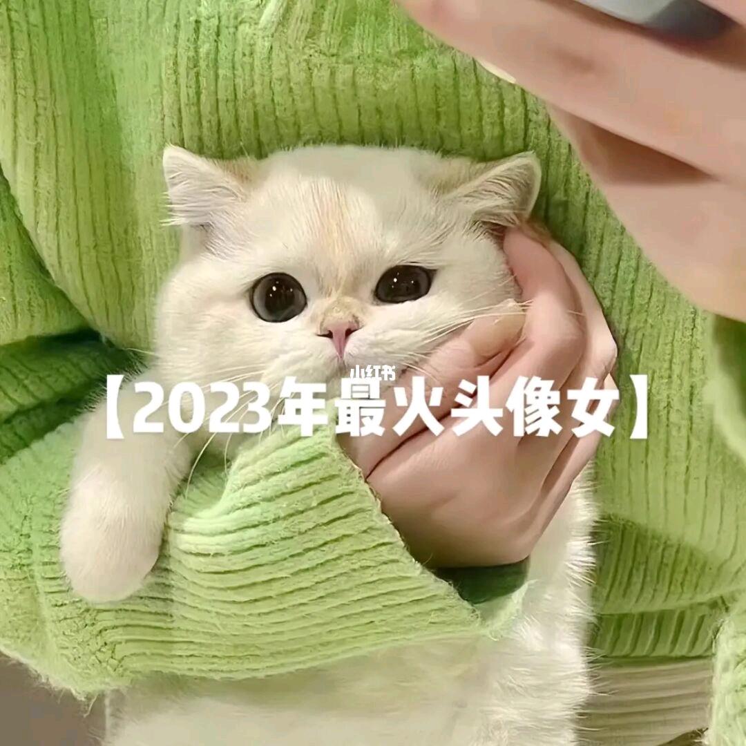 快乐小神仙_2050
