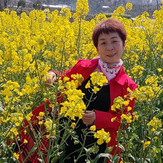 小英