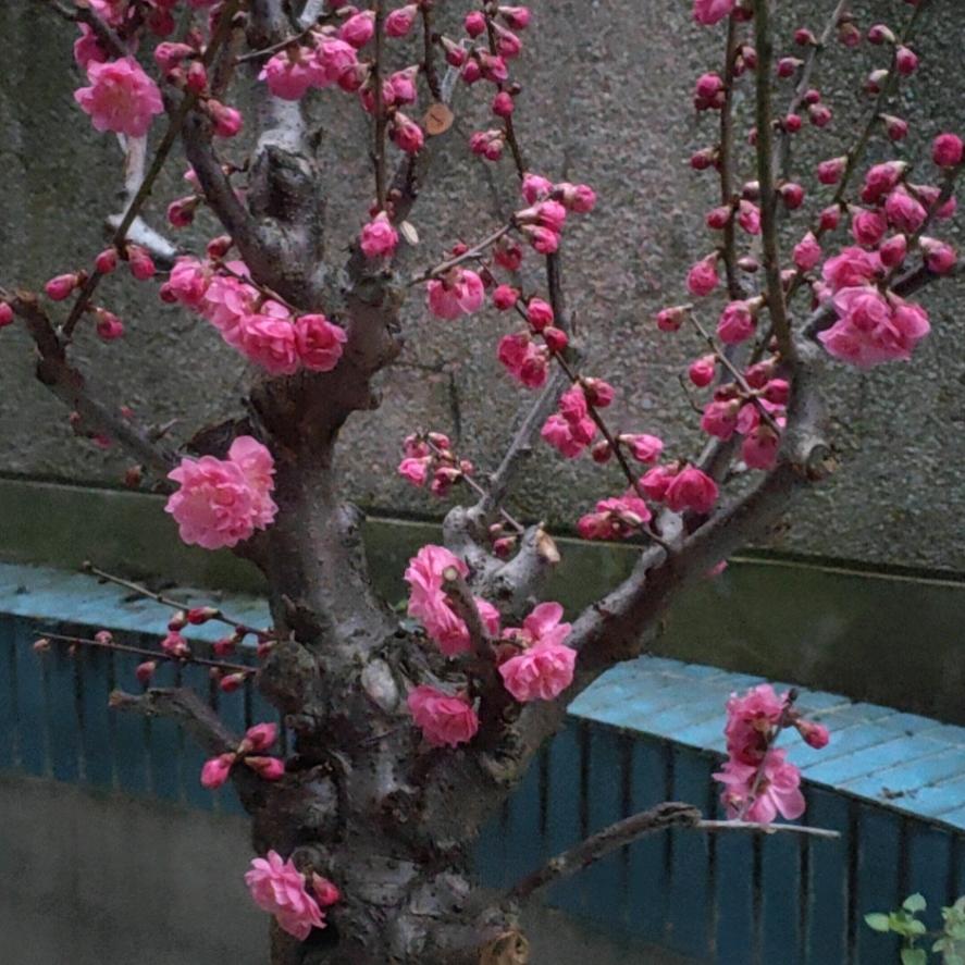 🌟💪爱的束缚💪🌟