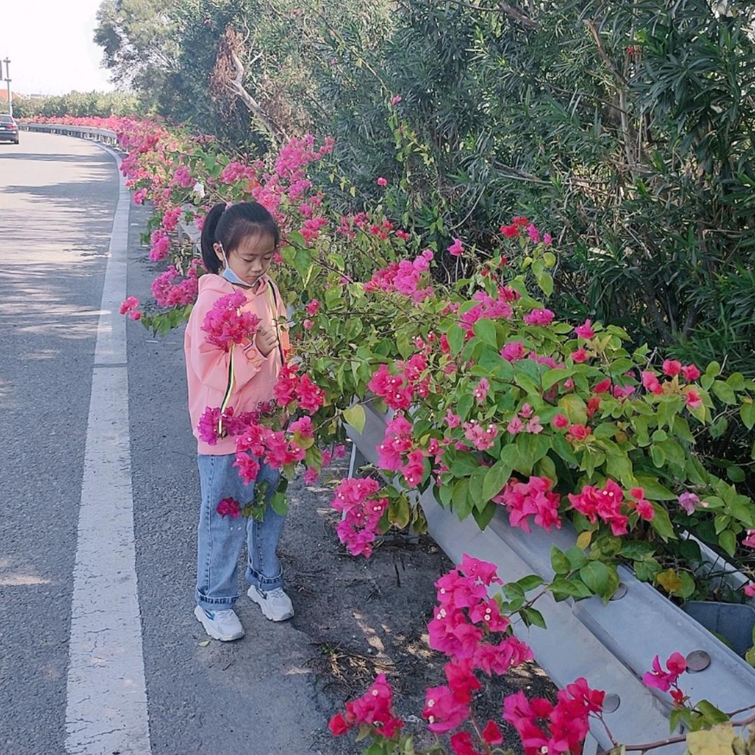 慧馨