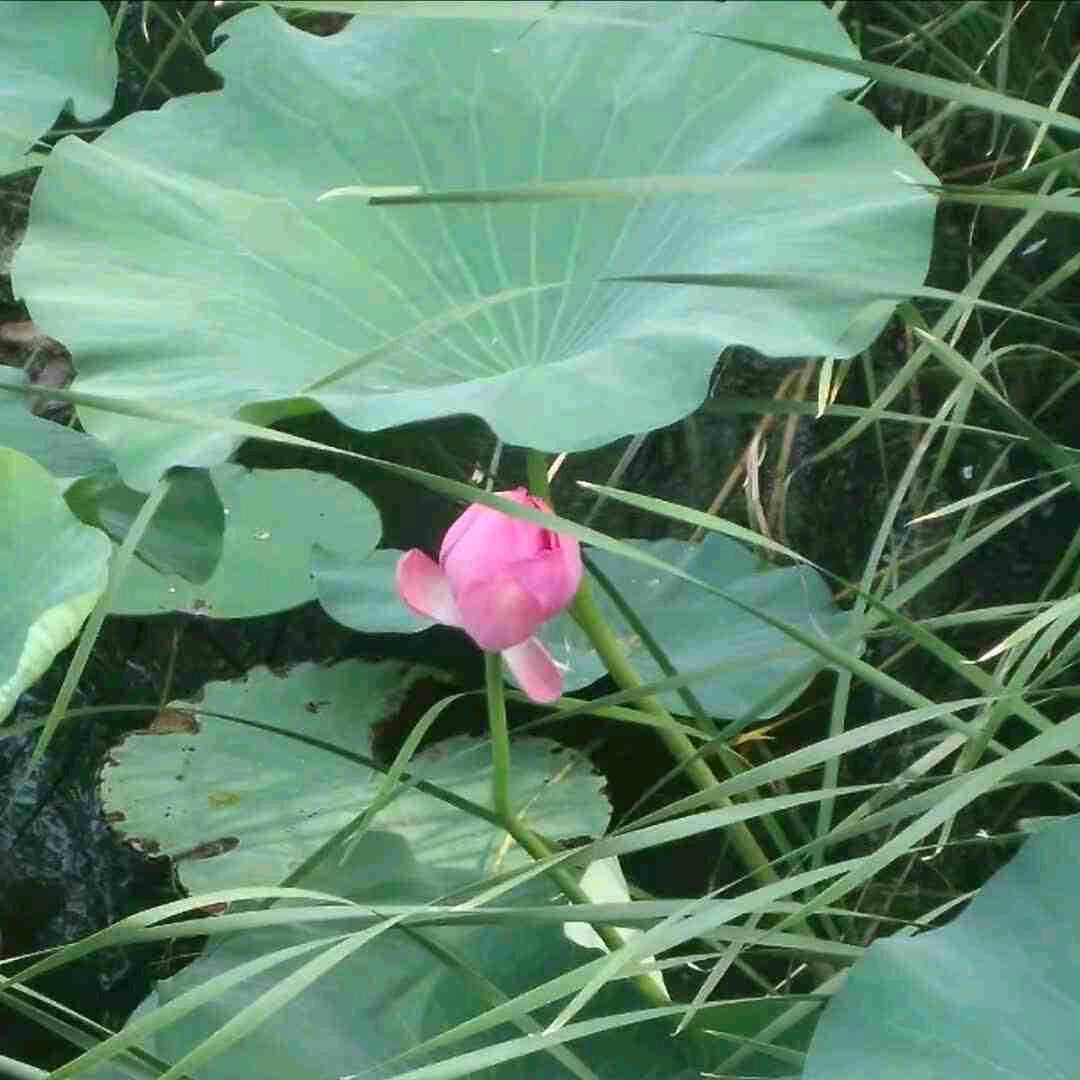 @赵宇